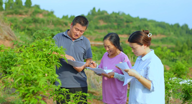 张升平：从清华学子到乡村农技专家